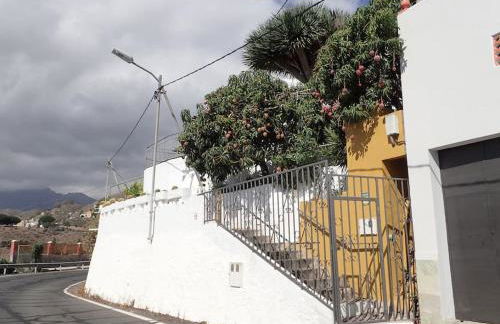 DRAGO 100, quiet and friendly - Foto 41