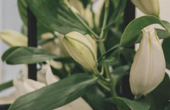 Altbauloft im Herzen Berlins - Foto 29