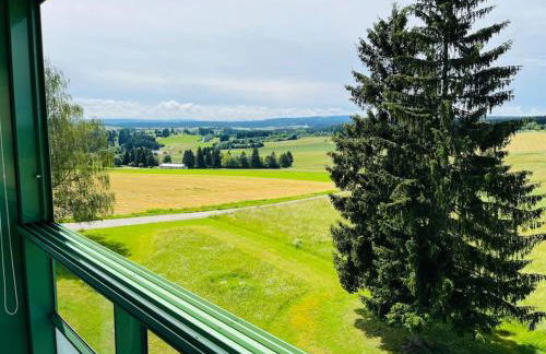Apartment mit Grünblick & Wintergarten im Schwarzwald - Foto 5