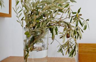 Amarandos Sea View Apartments - Photo 23