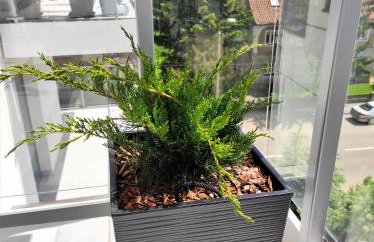 VIEW 20 APARTAMENT - Foto 23