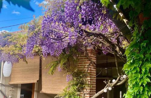 Casa Jardín El Arco - Foto 47