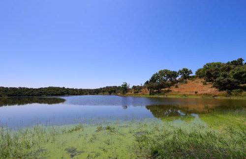 Monte de Bordalos - Foto 65