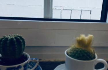 Itaca Experience Playa do Cabedelo - Foto 39