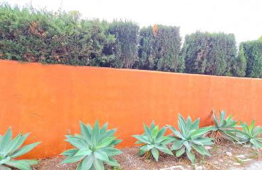 Villa los Agaves Javea piscina y barbacoa - Foto 35