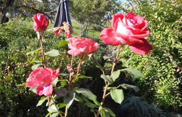 Ferienwohnung Gipfelstürmer - Foto 25