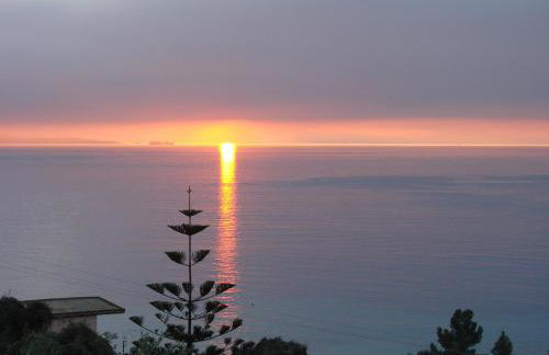 Kiki's Apartments - Foto 34