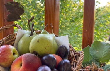 Il nocciòlo di Daisy - Foto 34