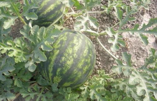 Agriturismo Santa Lucia - Foto 72