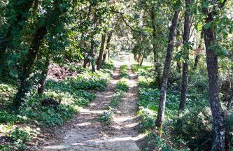 Dream House - Foto 24