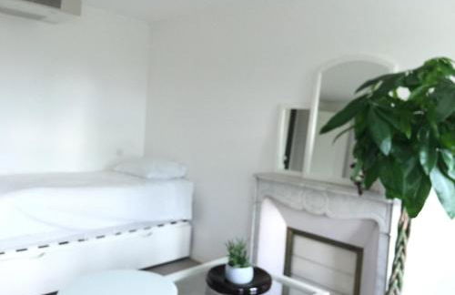 Le Jardin Darcy Liberté Hyper centre gare-ville parking public payant dans la rue - Foto 54