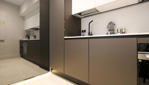 Spacious & Luxurious - Fully Renovated & Equipped 2BR Suite - Historical Centre - Photo 4, stove