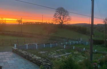 Unique Stay on an Alpaca Therapy Farm with Miniature Donkeys North Wales - Foto 9