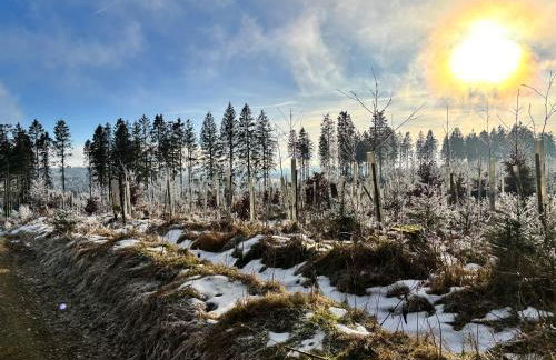 17 AM BERG - Foto 73