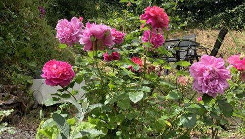 Rose Cottage - Foto 4