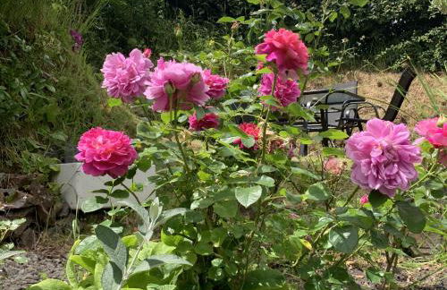 Rose Cottage - Foto 4