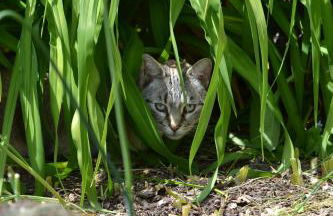 Gîte de charme proche du Zoo Beauval et Châteaux - Photo 68