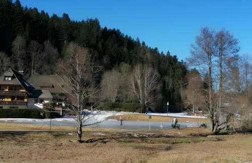 Chalet-Sonnengarten - Photo 44