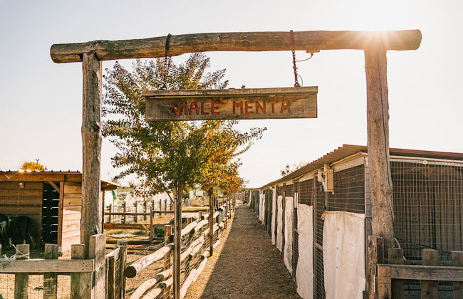 La Tenuta di Santo Stefano Agri Resort & Spa - Photo 53