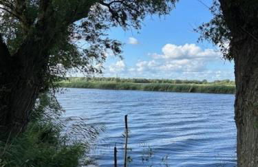 Reetdachhaus direkt am Wasser - Foto 30