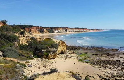 Vista das Ondas - AP - Foto 32