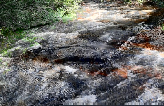 Sítio Rio Gouveia - Foto 22