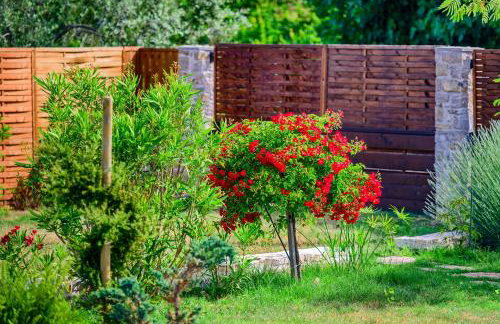 Sunny house - Foto 46