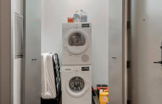 Experience Downtown Chicago at Millennium - Luxury Apartments in The Loop - Photo 55