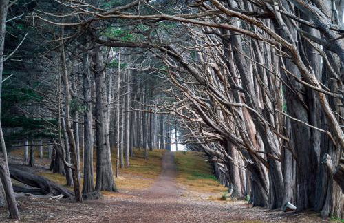 1 block to beach, Private Hot Tub, Fire Pit and BBQ - Foto 38