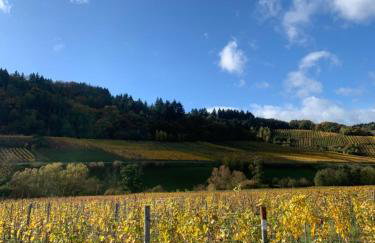 Moselglück - Foto 31