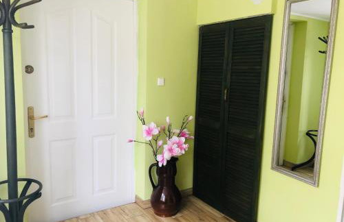 Noclegi pod kasztanem - Foto 10