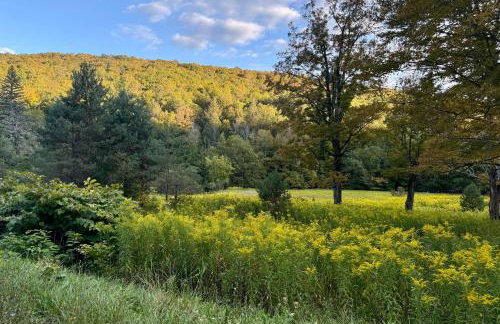 2 Mi to Belleayre Mtn! Extended Base in Pine Hill - Foto 25