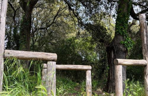 Casa Zefiro, tra pineta e mare! - Foto 35