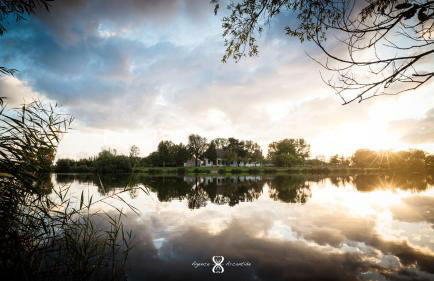 La Grande Pommeraie - Foto 34