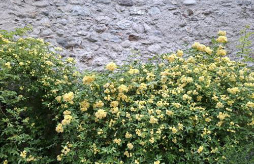 Ansitz Thierburg Suites - Foto 20