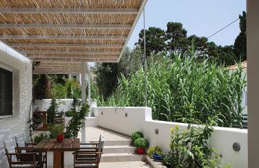 Moscha Studios - Foto 1