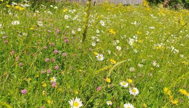 Rhöner Landhaus mit viel Flair - Foto 2