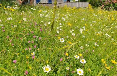 Rhöner Landhaus mit viel Flair - Foto 2