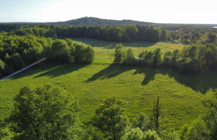 Modernes Gartenatelier am Mühlenfließ - Foto 17