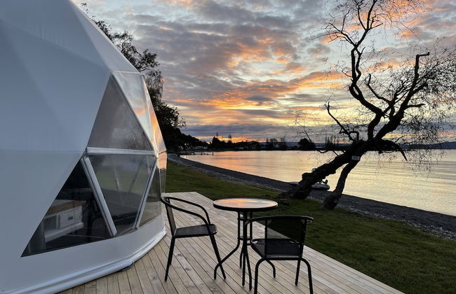 Motutere Bay Top 10 Holiday Park - Photo 73