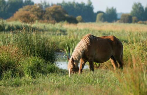 Beachside Brittany Escape - Foto 25