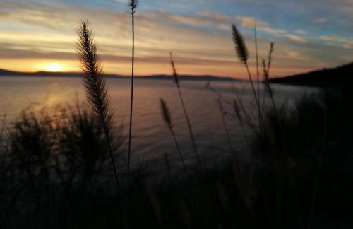 Bodo Apartment - Foto 43