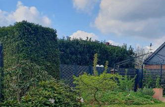 Ferienwohnung Luft und Erde - Foto 17