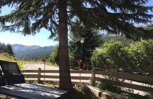 Bas de chalet station La Foux - Foto 42