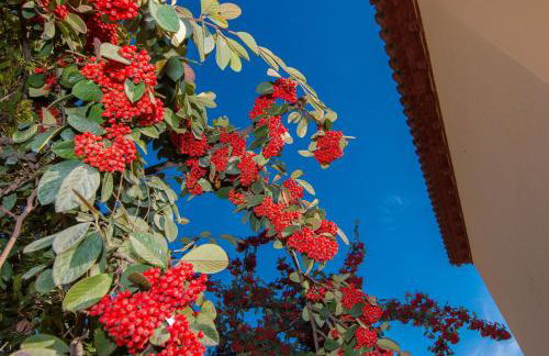 Tu Casa en Barcelona - Foto 34