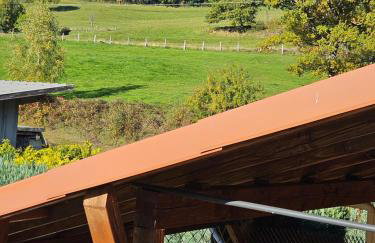 Gîte 4 à 10 Personnes avec sauna" La ferme des Sources" dans les Hautes Vosges - Foto 38