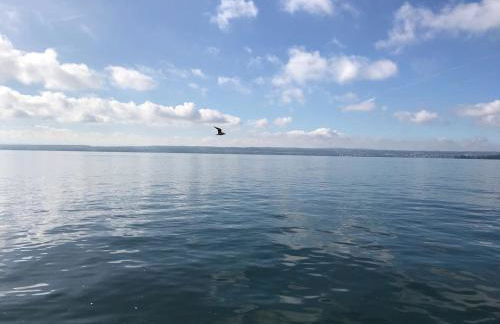 Ferienwohnung Haag - Foto 12