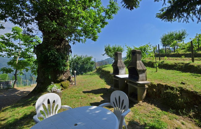 Villa Medicina - Foto 36