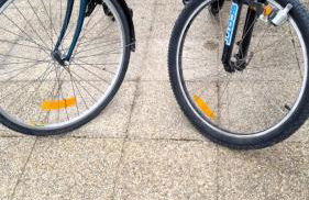 L'Ecoliere - Photo 16