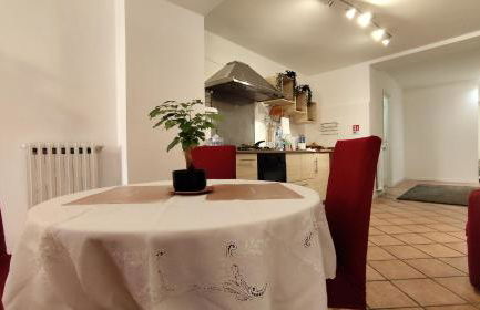 La Casa Del Vino - Marino Centro - Foto 8